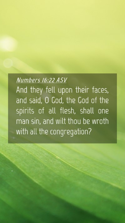 Picture 04 - Numbers 16:22 ASV Mobile Phone Wallpaper - And they fell upon their faces, and said, O God, - Mobile Bible Verse Wallpaper