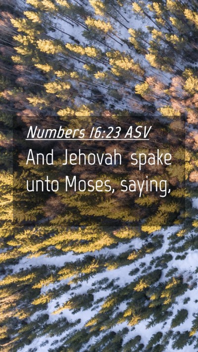 Picture 04 - Numbers 16:23 ASV Mobile Phone Wallpaper - And Jehovah spake unto Moses, - Mobile Bible Verse Wallpaper