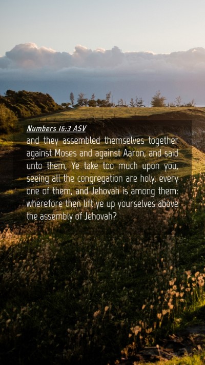 Picture 04 - Numbers 16:3 ASV Mobile Phone Wallpaper - and they assembled themselves together against - Mobile Bible Verse Wallpaper