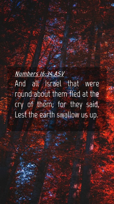 Picture 04 - Numbers 16:34 ASV Mobile Phone Wallpaper - And all Israel that were round about them fled at - Mobile Bible Verse Wallpaper