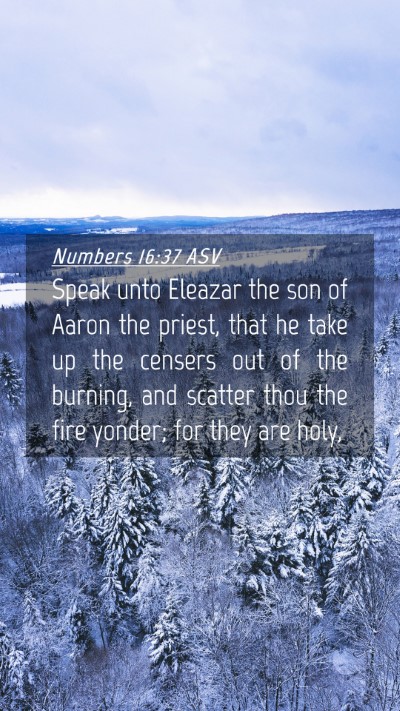 Picture 04 - Numbers 16:37 ASV Mobile Phone Wallpaper - Speak unto Eleazar the son of Aaron the priest, - Mobile Bible Verse Wallpaper