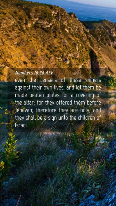 Picture 04 - Numbers 16:38 ASV Mobile Phone Wallpaper - even the censers of these sinners against their - Mobile Bible Verse Wallpaper