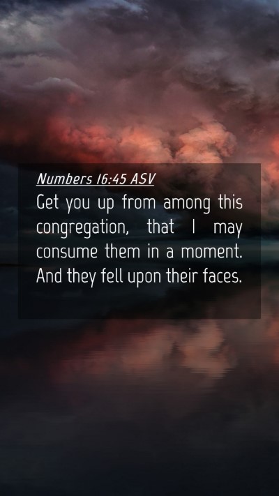 Picture 04 - Numbers 16:45 ASV Mobile Phone Wallpaper - Get you up from among this congregation, that I - Mobile Bible Verse Wallpaper