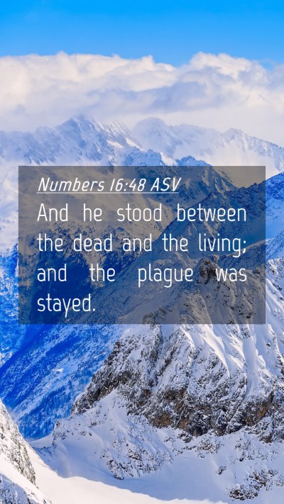 Picture 04 - Numbers 16:48 ASV Mobile Phone Wallpaper - And he stood between the dead and the living; and - Mobile Bible Verse Wallpaper