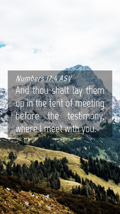 Picture 04 - Numbers 17:4 ASV Mobile Phone Wallpaper - And thou shalt lay them up in the tent of meeting - Mobile Bible Verse Wallpaper