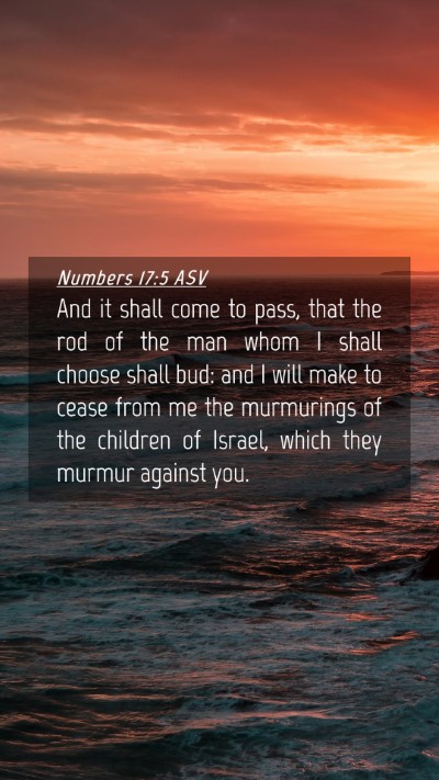 Picture 04 - Numbers 17:5 ASV Mobile Phone Wallpaper - And it shall come to pass, that the rod of the - Mobile Bible Verse Wallpaper