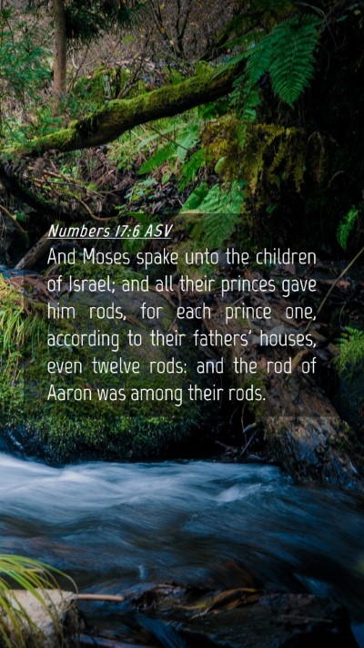 Picture 04 - Numbers 17:6 ASV Mobile Phone Wallpaper - And Moses spake unto the children of Israel; and - Mobile Bible Verse Wallpaper