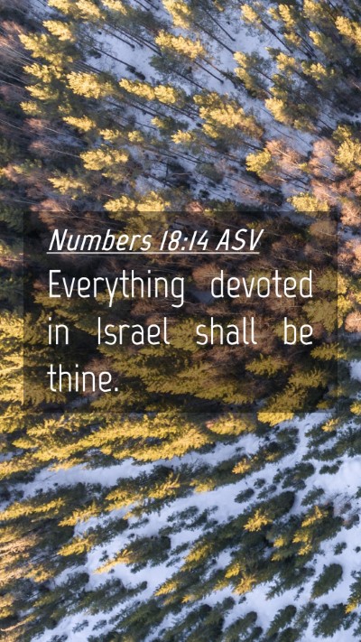 Picture 04 - Numbers 18:14 ASV Mobile Phone Wallpaper - Everything devoted in Israel shall be - Mobile Bible Verse Wallpaper