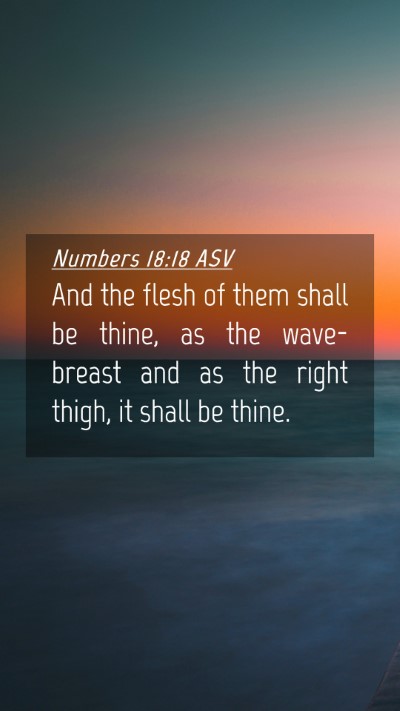 Picture 04 - Numbers 18:18 ASV Mobile Phone Wallpaper - And the flesh of them shall be thine, as the - Mobile Bible Verse Wallpaper