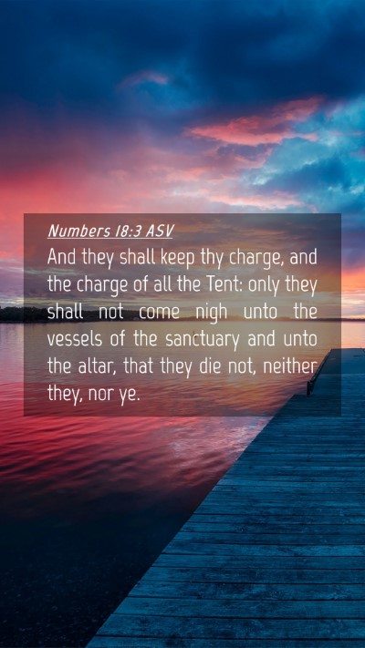 Picture 04 - Numbers 18:3 ASV Mobile Phone Wallpaper - And they shall keep thy charge, and the charge of - Mobile Bible Verse Wallpaper