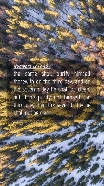 Picture 04 - Numbers 19:12 ASV Mobile Phone Wallpaper - the same shall purify himself therewith on the - Mobile Bible Verse Wallpaper