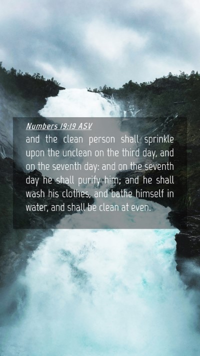 Picture 04 - Numbers 19:19 ASV Mobile Phone Wallpaper - and the clean person shall sprinkle upon the - Mobile Bible Verse Wallpaper