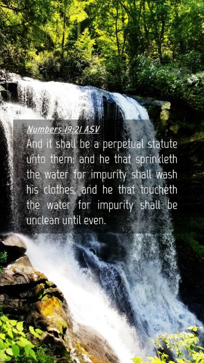 Picture 04 - Numbers 19:21 ASV Mobile Phone Wallpaper - And it shall be a perpetual statute unto them: - Mobile Bible Verse Wallpaper