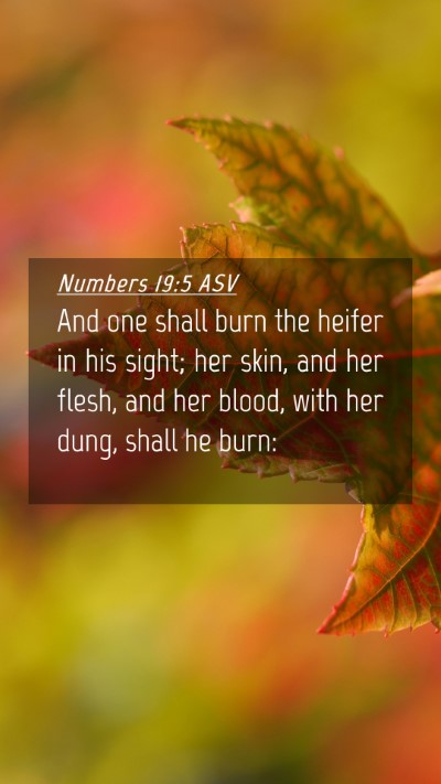 Picture 04 - Numbers 19:5 ASV Mobile Phone Wallpaper - And one shall burn the heifer in his sight; her - Mobile Bible Verse Wallpaper