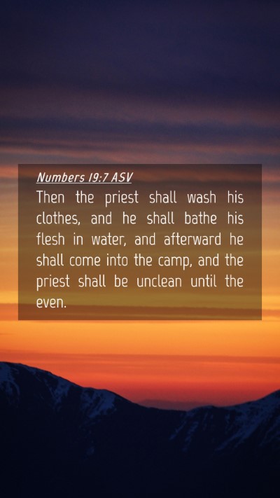 Picture 04 - Numbers 19:7 ASV Mobile Phone Wallpaper - Then the priest shall wash his clothes, and he - Mobile Bible Verse Wallpaper