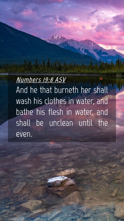 Picture 04 - Numbers 19:8 ASV Mobile Phone Wallpaper - And he that burneth her shall wash his clothes in - Mobile Bible Verse Wallpaper