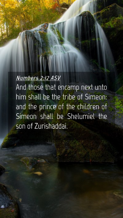 Picture 04 - Numbers 2:12 ASV Mobile Phone Wallpaper - And those that encamp next unto him shall be the - Mobile Bible Verse Wallpaper