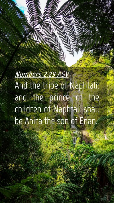 Picture 04 - Numbers 2:29 ASV Mobile Phone Wallpaper - And the tribe of Naphtali: and the prince of the - Mobile Bible Verse Wallpaper