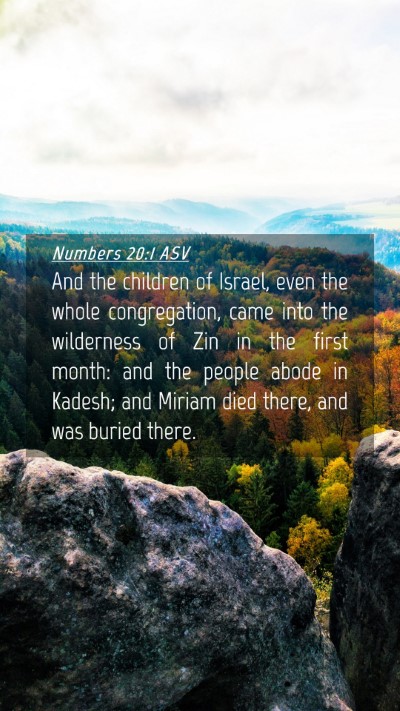 Picture 04 - Numbers 20:1 ASV Mobile Phone Wallpaper - And the children of Israel, even the whole - Mobile Bible Verse Wallpaper