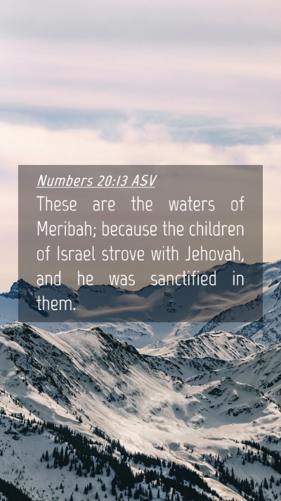 Picture 04 - Numbers 20:13 ASV Mobile Phone Wallpaper - These are the waters of Meribah; because the - Mobile Bible Verse Wallpaper