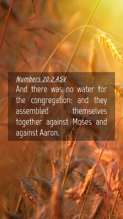 Picture 04 - Numbers 20:2 ASV Mobile Phone Wallpaper - And there was no water for the congregation: and - Mobile Bible Verse Wallpaper
