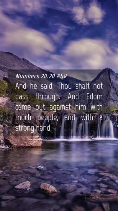 Picture 04 - Numbers 20:20 ASV Mobile Phone Wallpaper - And he said, Thou shalt not pass through. And - Mobile Bible Verse Wallpaper