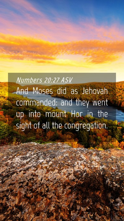 Picture 04 - Numbers 20:27 ASV Mobile Phone Wallpaper - And Moses did as Jehovah commanded: and they went - Mobile Bible Verse Wallpaper