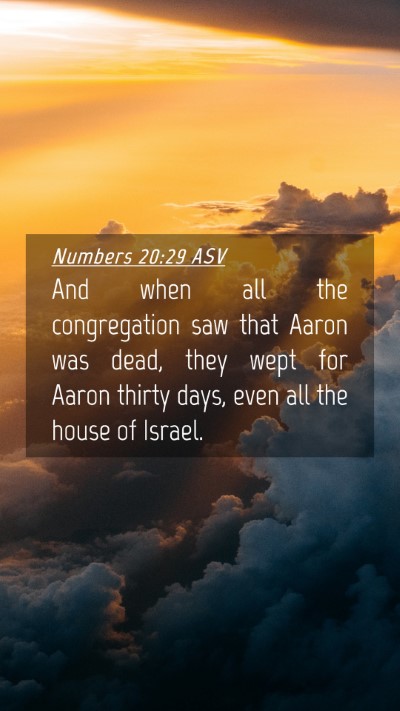 Picture 04 - Numbers 20:29 ASV Mobile Phone Wallpaper - And when all the congregation saw that Aaron was - Mobile Bible Verse Wallpaper