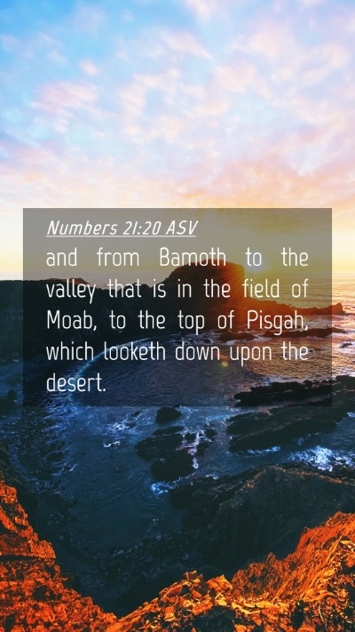 Picture 04 - Numbers 21:20 ASV Mobile Phone Wallpaper - and from Bamoth to the valley that is in the - Mobile Bible Verse Wallpaper