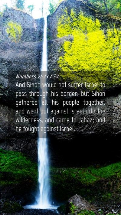 Picture 04 - Numbers 21:23 ASV Mobile Phone Wallpaper - And Sihon would not suffer Israel to pass through - Mobile Bible Verse Wallpaper