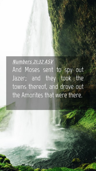 Picture 04 - Numbers 21:32 ASV Mobile Phone Wallpaper - And Moses sent to spy out Jazer; and they took - Mobile Bible Verse Wallpaper
