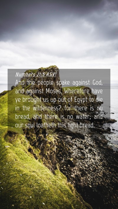 Picture 04 - Numbers 21:5 ASV Mobile Phone Wallpaper - And the people spake against God, and against - Mobile Bible Verse Wallpaper
