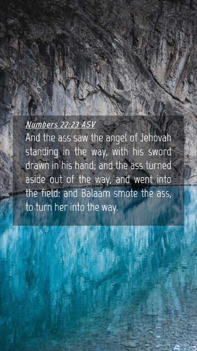 Picture 04 - Numbers 22:23 ASV Mobile Phone Wallpaper - And the ass saw the angel of Jehovah standing in - Mobile Bible Verse Wallpaper