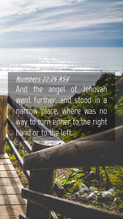 Picture 04 - Numbers 22:26 ASV Mobile Phone Wallpaper - And the angel of Jehovah went further, and stood - Mobile Bible Verse Wallpaper