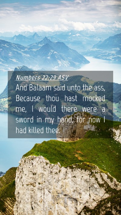 Picture 04 - Numbers 22:29 ASV Mobile Phone Wallpaper - And Balaam said unto the ass, Because thou hast - Mobile Bible Verse Wallpaper