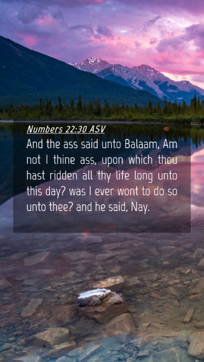 Picture 04 - Numbers 22:30 ASV Mobile Phone Wallpaper - And the ass said unto Balaam, Am not I thine ass, - Mobile Bible Verse Wallpaper