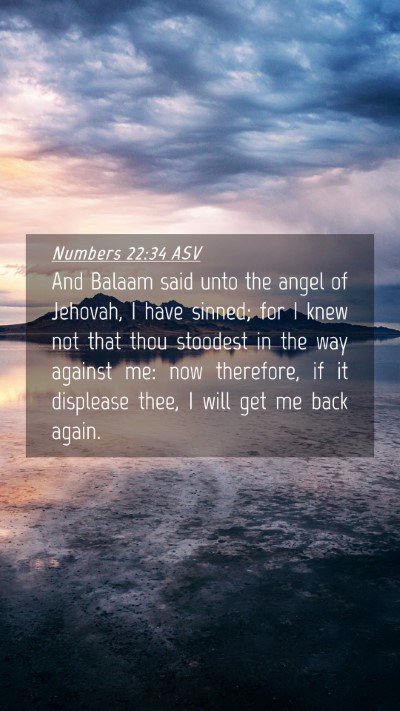 Picture 04 - Numbers 22:34 ASV Mobile Phone Wallpaper - And Balaam said unto the angel of Jehovah, I have - Mobile Bible Verse Wallpaper