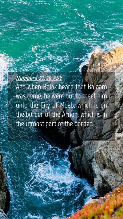 Picture 04 - Numbers 22:36 ASV Mobile Phone Wallpaper - And when Balak heard that Balaam was come, he - Mobile Bible Verse Wallpaper