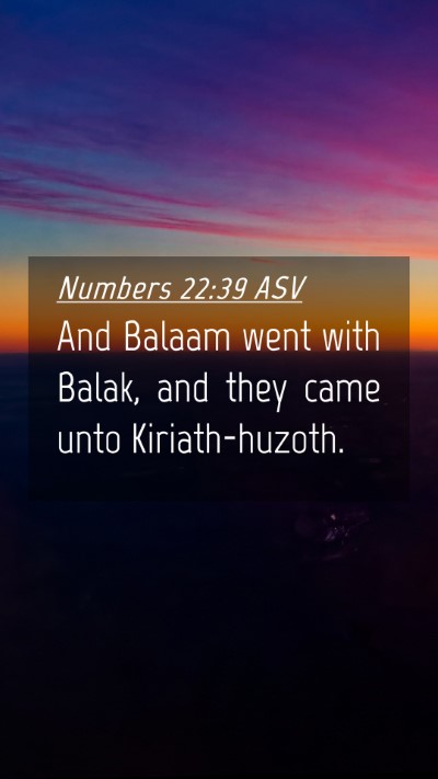 Picture 04 - Numbers 22:39 ASV Mobile Phone Wallpaper - And Balaam went with Balak, and they came unto - Mobile Bible Verse Wallpaper