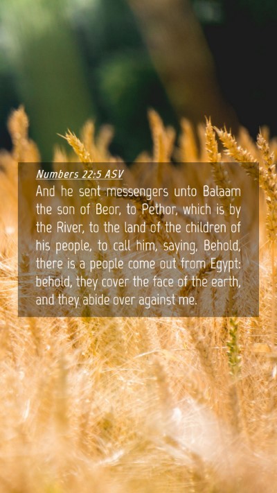 Picture 04 - Numbers 22:5 ASV Mobile Phone Wallpaper - And he sent messengers unto Balaam the son of - Mobile Bible Verse Wallpaper