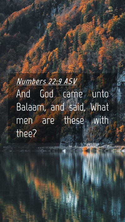 Picture 04 - Numbers 22:9 ASV Mobile Phone Wallpaper - And God came unto Balaam, and said, What men are - Mobile Bible Verse Wallpaper