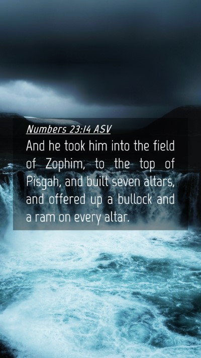 Picture 04 - Numbers 23:14 ASV Mobile Phone Wallpaper - And he took him into the field of Zophim, to the - Mobile Bible Verse Wallpaper