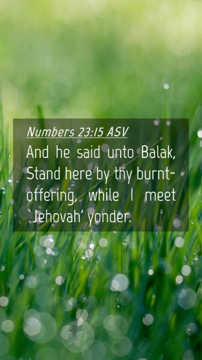 Picture 04 - Numbers 23:15 ASV Mobile Phone Wallpaper - And he said unto Balak, Stand here by thy - Mobile Bible Verse Wallpaper