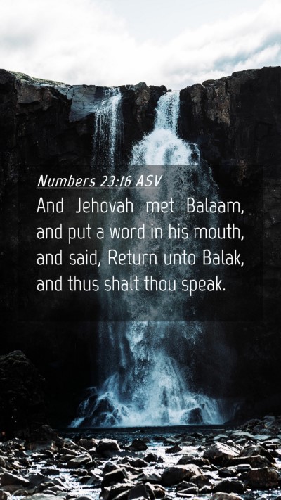 Picture 04 - Numbers 23:16 ASV Mobile Phone Wallpaper - And Jehovah met Balaam, and put a word in his - Mobile Bible Verse Wallpaper