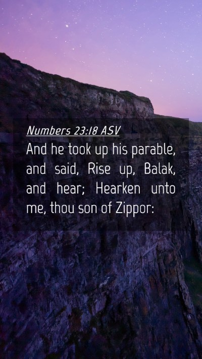 Picture 04 - Numbers 23:18 ASV Mobile Phone Wallpaper - And he took up his parable, and said, Rise up, - Mobile Bible Verse Wallpaper