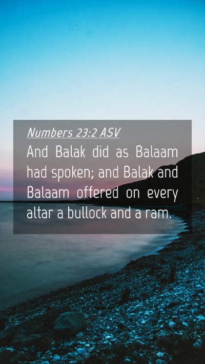 Picture 04 - Numbers 23:2 ASV Mobile Phone Wallpaper - And Balak did as Balaam had spoken; and Balak and - Mobile Bible Verse Wallpaper