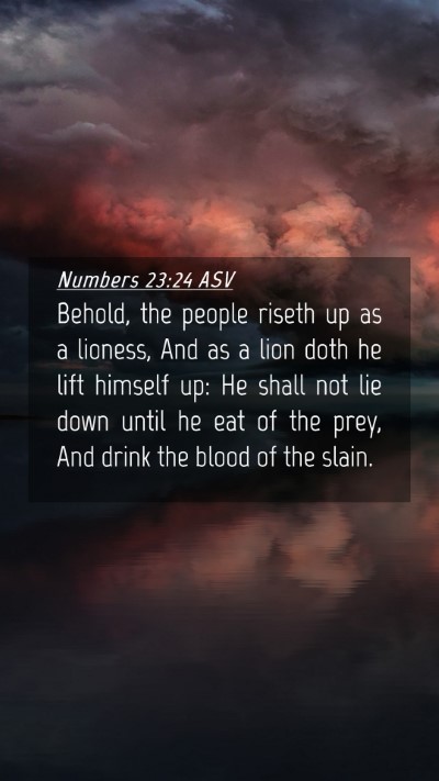 Picture 04 - Numbers 23:24 ASV Mobile Phone Wallpaper - Behold, the people riseth up as a lioness, And as - Mobile Bible Verse Wallpaper