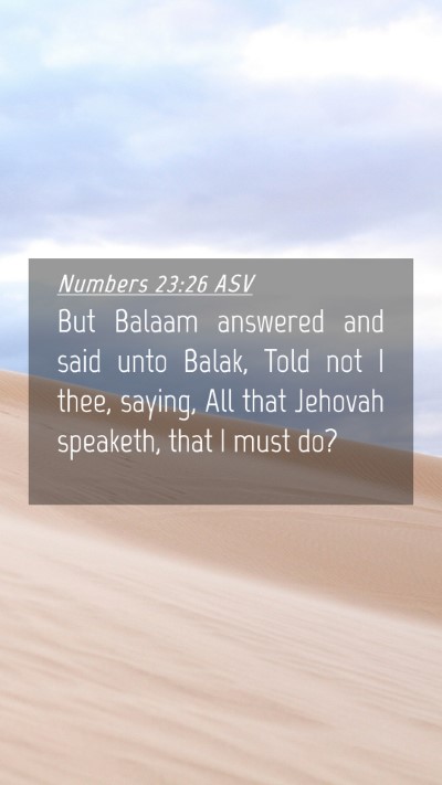 Picture 04 - Numbers 23:26 ASV Mobile Phone Wallpaper - But Balaam answered and said unto Balak, Told not - Mobile Bible Verse Wallpaper