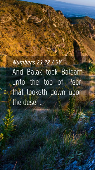 Picture 04 - Numbers 23:28 ASV Mobile Phone Wallpaper - And Balak took Balaam unto the top of Peor, that - Mobile Bible Verse Wallpaper