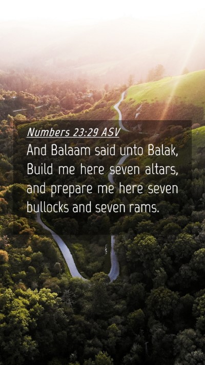 Picture 04 - Numbers 23:29 ASV Mobile Phone Wallpaper - And Balaam said unto Balak, Build me here seven - Mobile Bible Verse Wallpaper